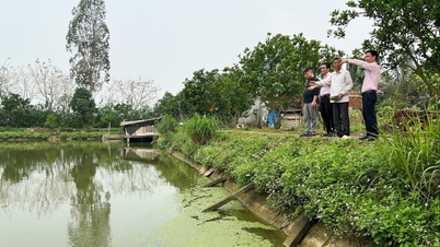 ប្រសិទ្ធភាពនៃមូលធនឥណទានគោលនយោបាយនៅណាំសាច