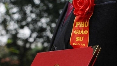 The whole country has only 1 female candidate for professor of Construction, from Nghe An.
