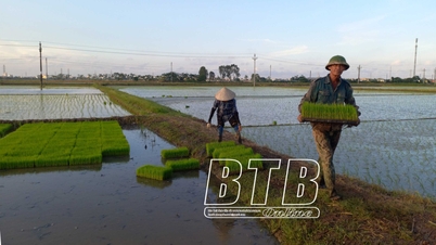 បង្ហូរ​ទឹក​យ៉ាង​សកម្ម​ដើម្បី​ការពារ​ទឹកជំនន់​សម្រាប់​ស្រូវ​រដូវ​រងា