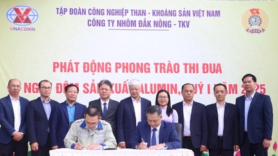 Công ty Nhôm Đắk Nông phấn đấu đạt 185.000 tấn alumin trong quý I