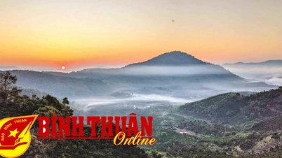 Da Mi ជាកន្លែងដែលភ្ញៀវមកលេង