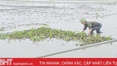 Anh nông dân bám đất, bám ruộng, tìm hướng phát triển kinh tế mới