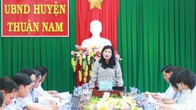 ក្រុមស្ទាបស្ទង់មតិរបស់គណៈប្រតិភូរដ្ឋសភាខេត្តបានធ្វើការជាមួយស្រុក Ninh Hai