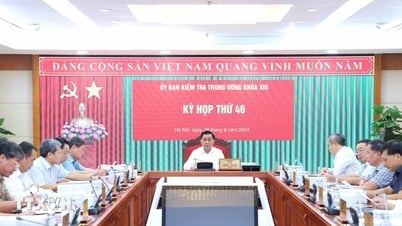 Kỷ luật cảnh cáo Phó Bí thư Tỉnh ủy, Chủ tịch UBND tỉnh Bắc Giang Lê Ánh Dương
