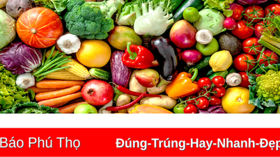 តម្លៃទំនិញប្រើប្រាស់មួយចំនួននៅថ្ងៃទី 5 ខែធ្នូ ឆ្នាំ 2024
