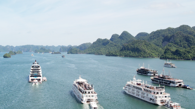 Du lịch Quảng Ninh: Năm mới, kỳ vọng mới