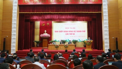 Ha Long City continues to strongly promote its role as the leading economic and social locomotive of the province.