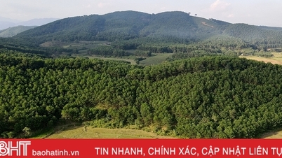 Chia sẻ lợi ích từ chi trả giảm phát thải khí nhà kính