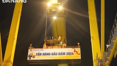 Cảng Đà Nẵng đón tấn hàng đầu năm 2024