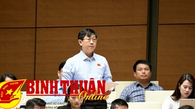 Phó Đoàn Đại biểu Quốc hội tỉnh Bình Thuận góp ý dự thảo Luật Đường bộ