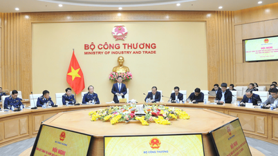 Cấp tổng cục được sắp xếp, tinh gọn như thế nào?
