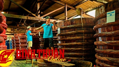 ផលិតផលទឹកត្រី OCOP Phan Thiet