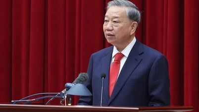 Nếu để lỡ thời cơ là có lỗi với đất nước và nhân dân