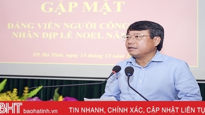 គណៈកម្មាធិការបក្សទីក្រុង Ha Tinh ជួបជាមួយសមាជិកបក្សកាតូលិកក្នុងឱកាសបុណ្យណូអែល