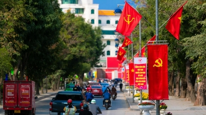 Tỉnh ủy Nghệ An ban hành Quyết định thành lập Đảng bộ thành phố Vinh (mới)