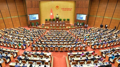ថ្ងៃនេះ ថ្ងៃទី 29 ខែមិថុនា រដ្ឋសភាបានអនុម័តច្បាប់ស្តីពីធានារ៉ាប់រងសង្គម (វិសោធនកម្ម) សេចក្តីសម្រេចចិត្តសម័យប្រជុំ