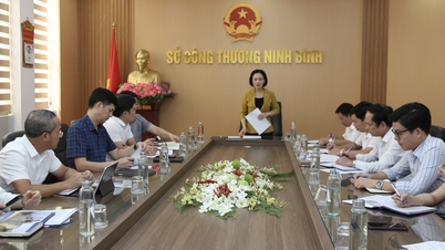 Đoàn đại biểu Quốc hội tỉnh khảo sát thực hiện Luật Điện lực
