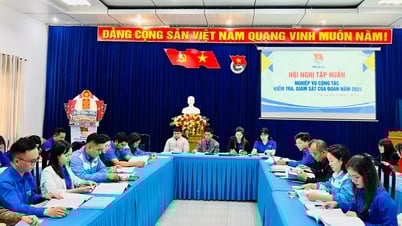 Tập huấn nghiệp vụ kiểm tra, giám sát của Đoàn