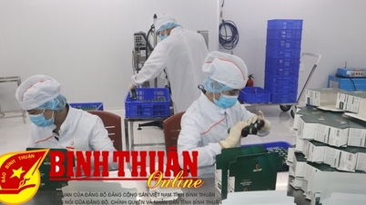 Phấn đấu vượt mức các chỉ tiêu phát triển kinh tế