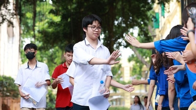 Chi tiết điểm chuẩn lớp 10 năm 2024 Quảng Ngãi của 14 trường mới nhất