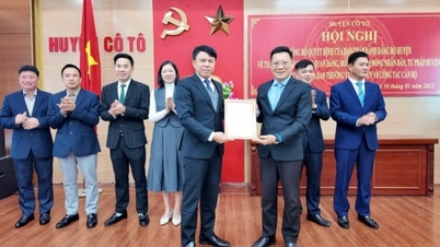 Cô Tô thành lập Đảng bộ Khối Đảng, đoàn thể, HĐND và Tư pháp huyện