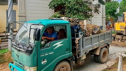 TP Hải Dương cấm xe chở vật liệu, chất thải hoạt động trên các tuyến đường đô thị trong 2 ngày