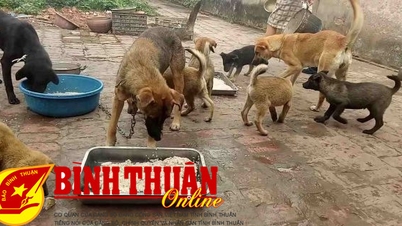 ការចិញ្ចឹមឆ្កែ សាច់ឆ្កែ និងចោរឆ្កែ