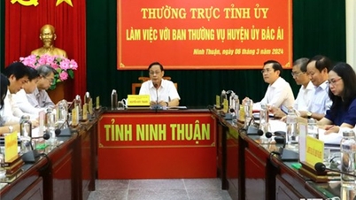Standing Committee of Provincial Party Committee works with Standing Committee of Bac Ai District Party Committee