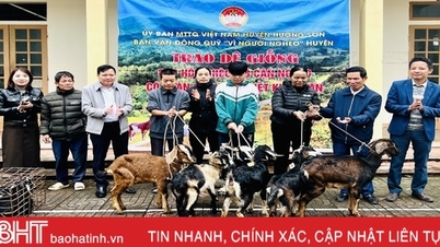 Hỗ trợ 12 cặp dê giống cho các hộ nghèo Hương Sơn