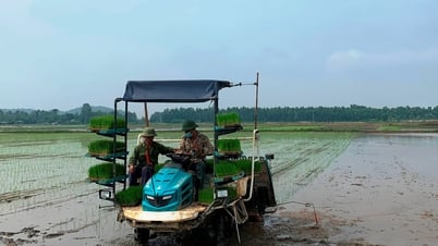 អត្រានៃយន្តការផលិតកម្មស្រូវនៅ Hai Duong ជាប់ចំណាត់ថ្នាក់លេខ 1 នៅតំបន់ដីសណ្ដទន្លេក្រហម។