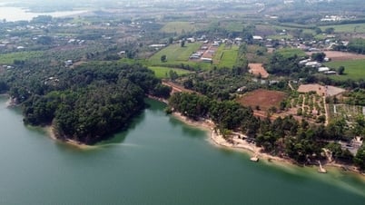 Về hồ Trị An nghỉ lễ, trải nghiệm trên rừng, dưới hồ mát lành