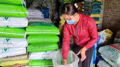 Giá đạm URE ở Hải Dương tăng