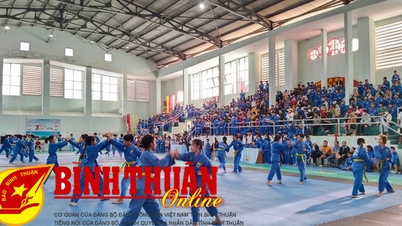 Vovinam Competition for Primary and Secondary School Students' Health Festival, 2023-2024 school year