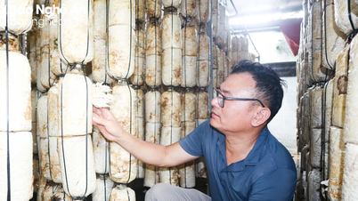 Tư duy bán hàng &#039;khác lạ&#039; của ông chủ trại nấm ở Nam Đàn