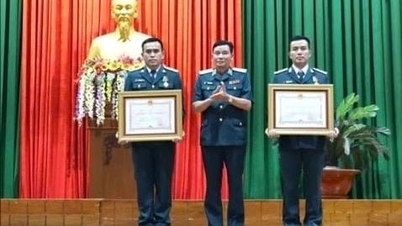 Remise de la Médaille de la Protection de la Patrie de Troisième Classe à deux pilotes du Régiment 940