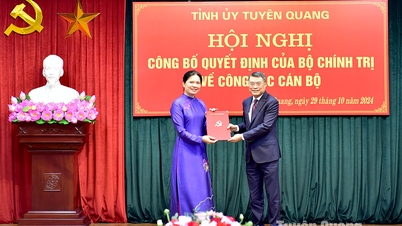 The Politburo appointed comrade Ha Thi Nga to hold the position of Secretary of Tuyen Quang Provincial Party Committee.