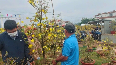 Rộn ràng ngày cuối năm