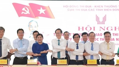 GRDP នៃខេត្តនៅក្នុងចង្កោមត្រាប់តាមភាគអាគ្នេយ៍ឈានដល់ 7% ជាមធ្យម
