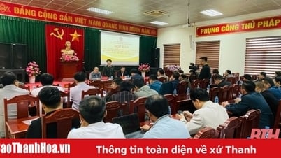 On December 16, enforcement of judgment will be carried out against Tay Do Company Limited.