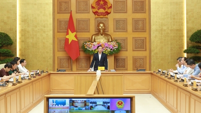 Các tỉnh, thành phố nhanh chóng ban hành văn bản quy phạm pháp luật thi hành 3 luật Đất đai, Nhà ở và Kinh doanh bất động sản