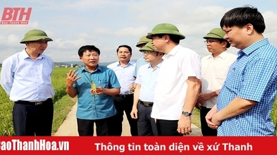 រឹងមាំក្នុងដំណើរកសាងស្រុកជនបទថ្មីជឿនលឿន