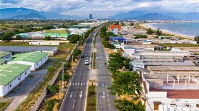 Triển khai thực hiện Đồ án Quy hoạch vùng sản xuất tôm giống ứng dụng công nghệ cao