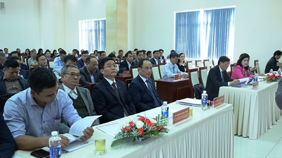 Tập trung nguồn vốn để cho vay các lĩnh vực, dự án trọng điểm của tỉnh
