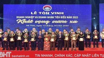 Ha Tinh ផ្តល់កិត្តិយសដល់អាជីវកម្ម និងសហគ្រិនឆ្នើមចំនួន 53
