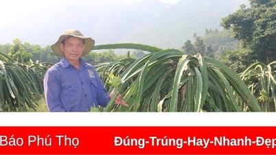 Làm giàu trên quê hương