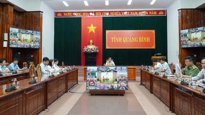 សន្និសីទអនឡាញស្តីពីការប្រយុទ្ធប្រឆាំងនឹងការនេសាទខុសច្បាប់