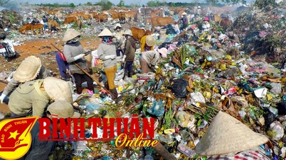 Binh Thuan dépense plus de 88 milliards de VND pour rénover et traiter la pollution environnementale de la décharge de Binh Tu