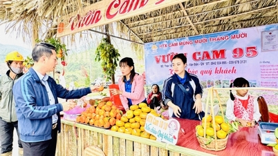 ពិធីបុណ្យ Cam Van Don ដ៏ទាក់ទាញ
