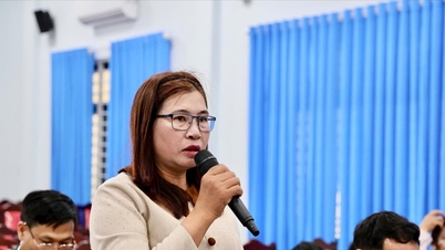 Tuy Duc District People's Committee dialogues with farmers