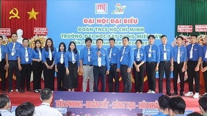 យុវជននៃសាកលវិទ្យាល័យ Western of Construction: ត្រួសត្រាយ - រួបរួម - ច្នៃប្រឌិត - រួមបញ្ចូលគ្នា